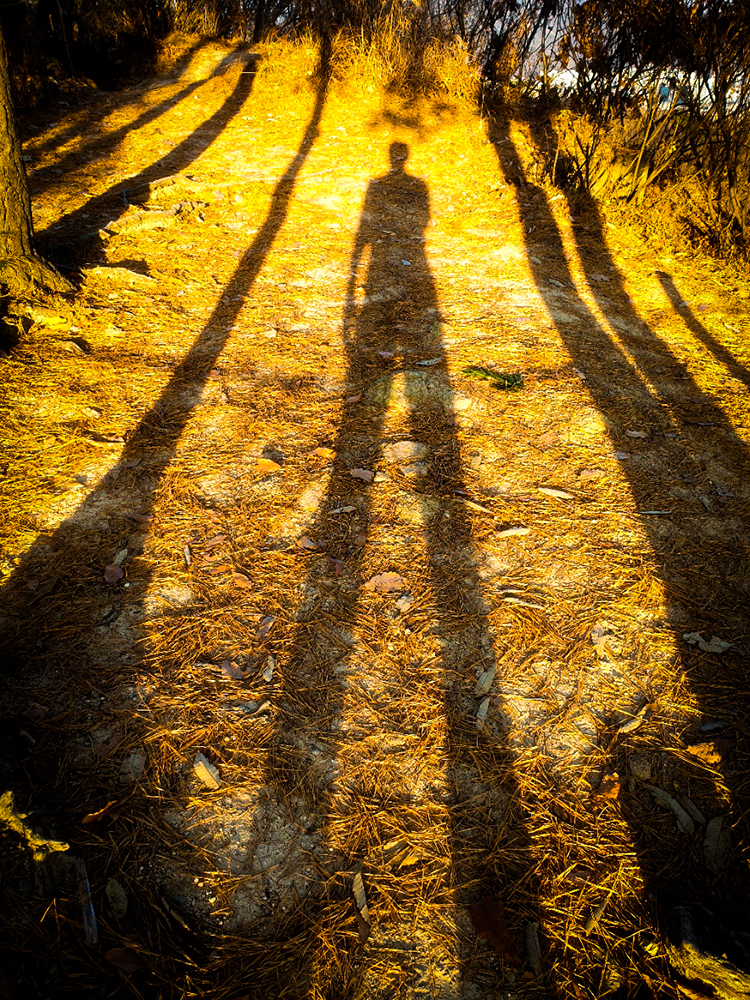 해질녁의 등산 그림자