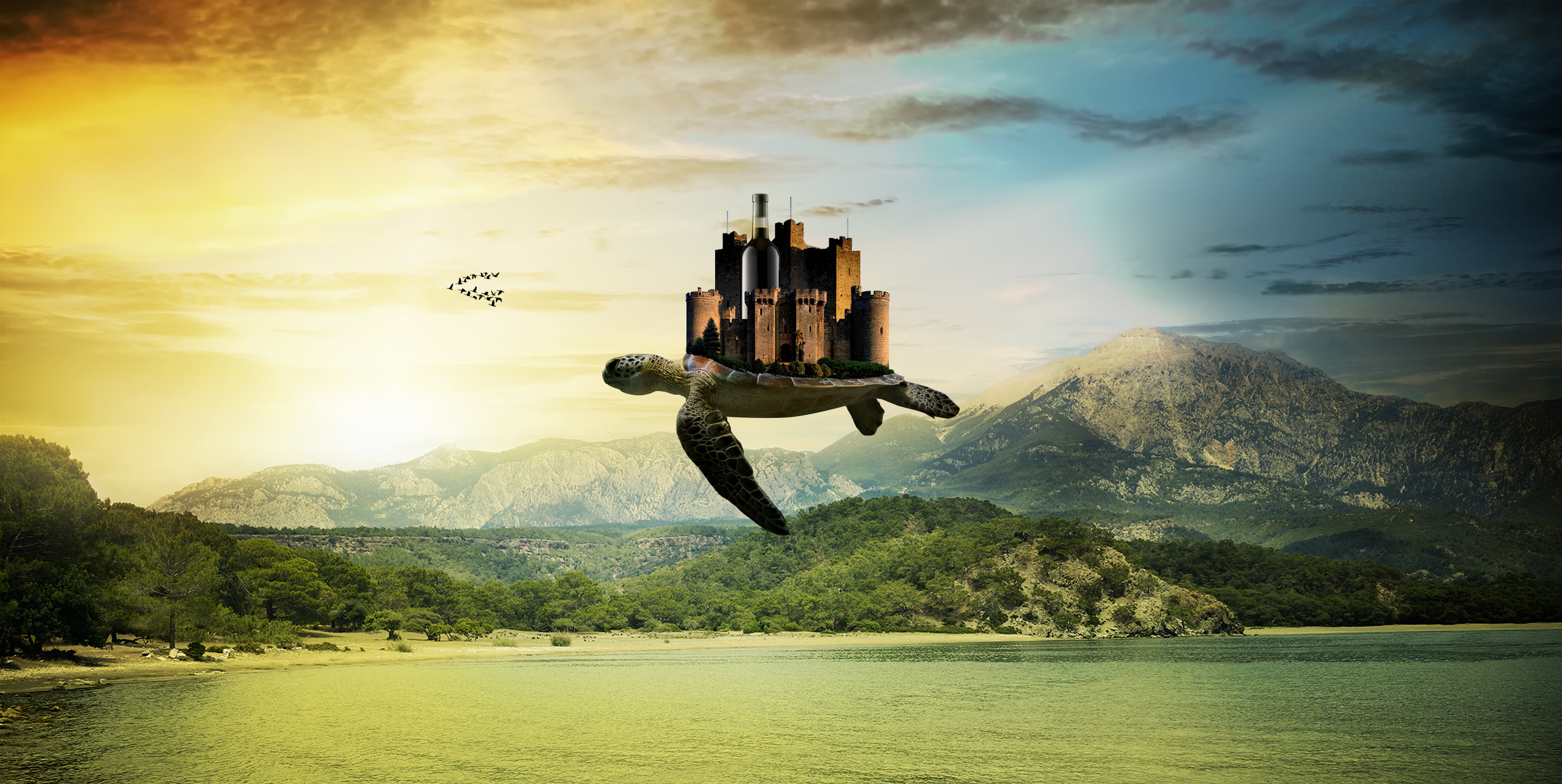 거북성, 비주얼스카이 그래픽디자인